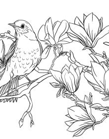 Japanese Enchantments. Coloring Book