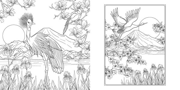 Japanese Enchantments. Coloring Book