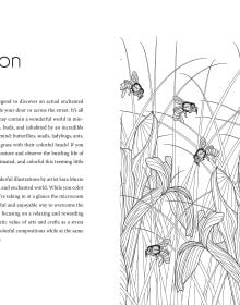 Enchanted Forest. Coloring Book
