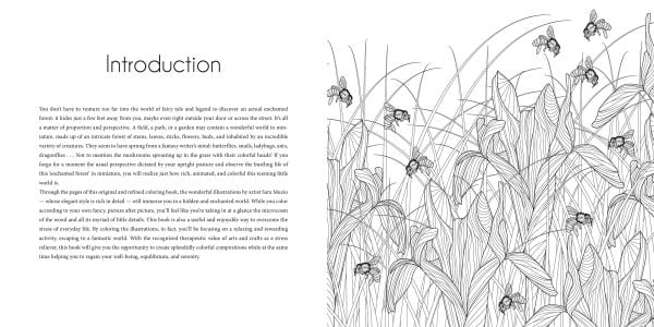 Enchanted Forest. Coloring Book