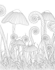 Enchanted Forest. Coloring Book