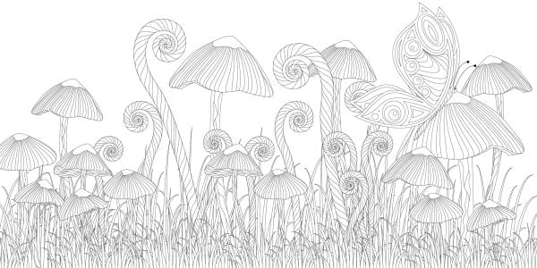 Enchanted Forest. Coloring Book
