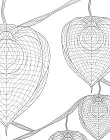Enchanted Forest. Coloring Book