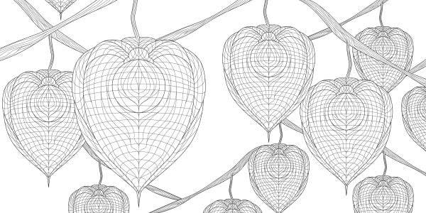 Enchanted Forest. Coloring Book