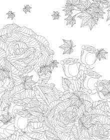 Hiding in Nature. Coloring Book