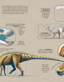 The World of Dinosaurs