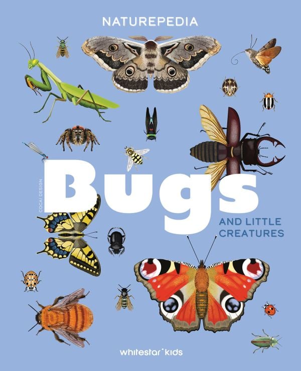 Naturepedia: Bugs and Little Creatures