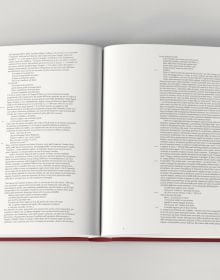 Orange capitalised font on burgundy cover of 'Divine Comedy Illustrated by Mimmo Paladino', by Forma Edizioni.