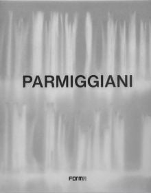 Grey book cover of Parmiggiani. Published by Forma Edizioni.
