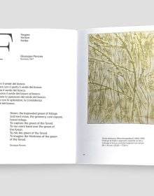 Book cover of Marc Donnadieu's Un alphabet de l'ordre et du désordre - An alphabet of order and disorder. Published by Forma Edizioni.