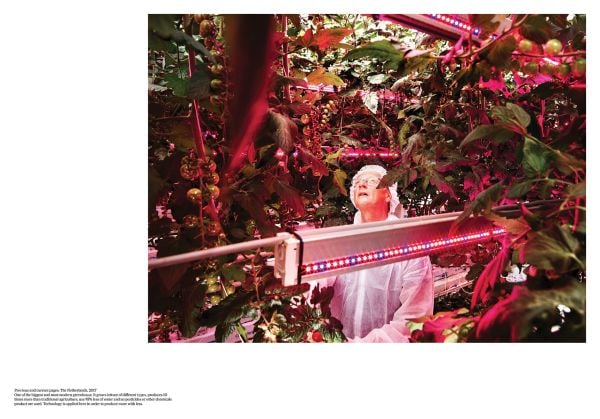 Book cover of Supernatural, featuring a misty rocky terrain. Published by Forma Edizioni.