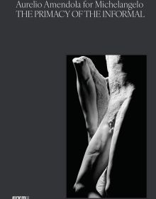 Book cover of Aurelio Amendola for Michelangelo: The Primacy of the Informal, featuring a sculpture of lower half of male figure. Published by Forma Edizioni.