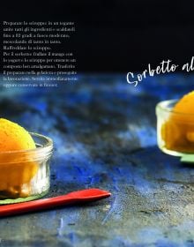 Scoop of white ice cream, with sprigs of rosemary, on cover of 'The Book of Ice Cream', by Guido Tommasi Editore.