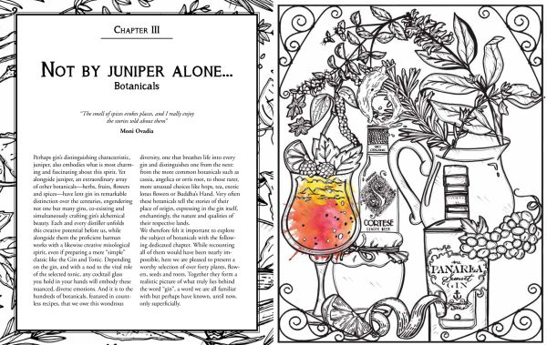 Gin bottle in white with art nouveau style border on black cover of 'Anthologin', by Guido Tommasi Editore.