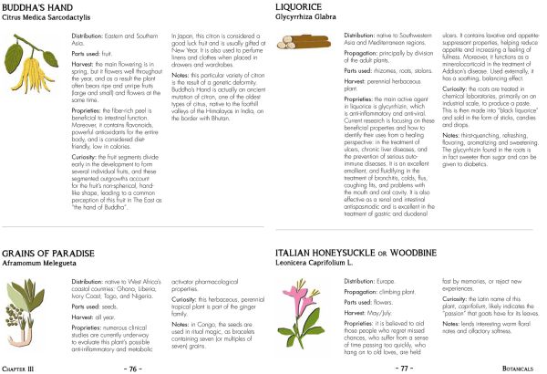 Gin bottle in white with art nouveau style border on black cover of 'Anthologin', by Guido Tommasi Editore.