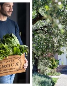 Book cover of Chenot 's Detox at Home, Edible science to promote healthy ageing, with a metal basket of swiss chard on window sill, man in chef whites behind window. Published by Guido Tommasi Editore.