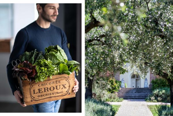Book cover of Chenot 's Detox at Home, Edible science to promote healthy ageing, with a metal basket of swiss chard on window sill, man in chef whites behind window. Published by Guido Tommasi Editore.