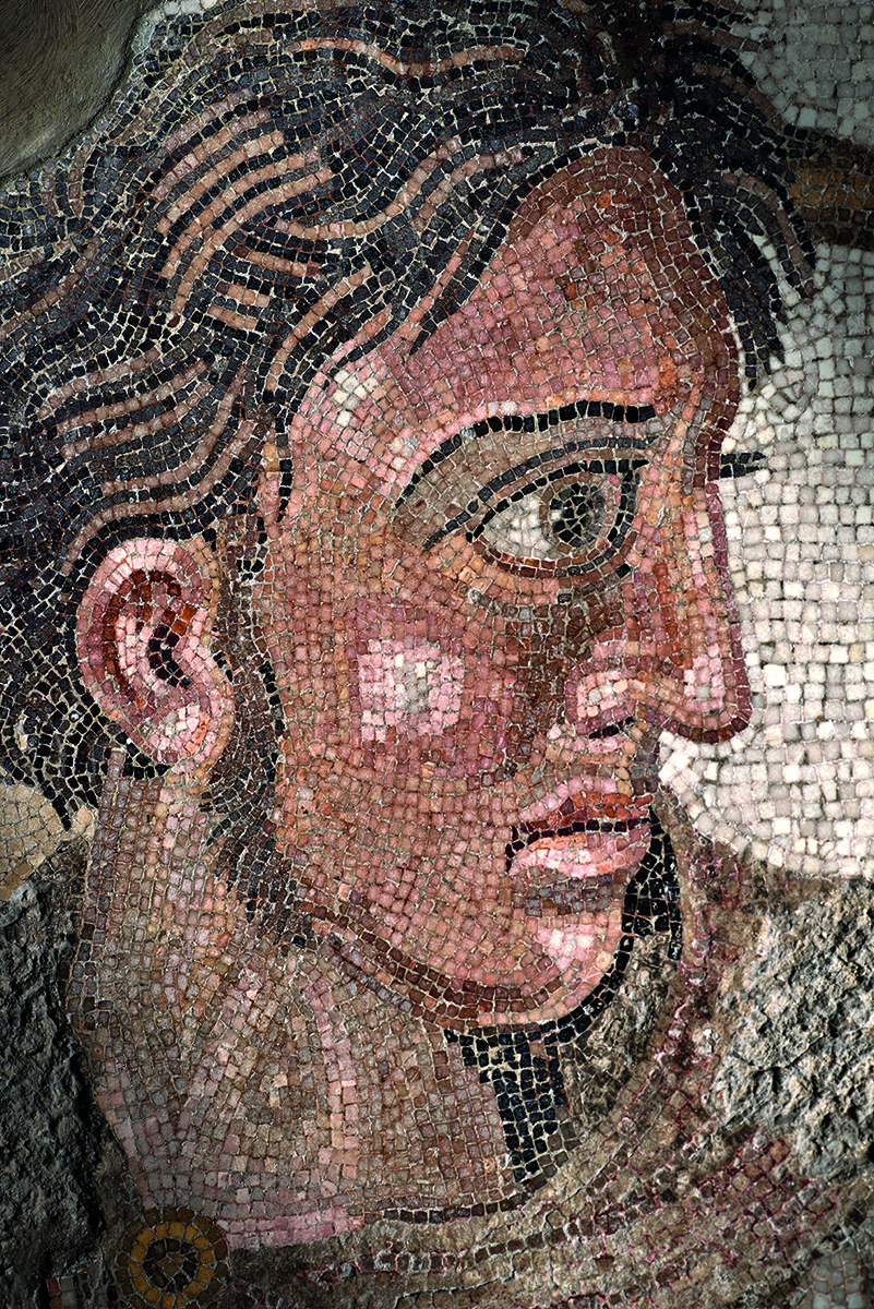 Book cover of The Alexander Mosaic, featuring the mosaic floor of Alexander The Great on horseback. Published by 5 Continents Editions.