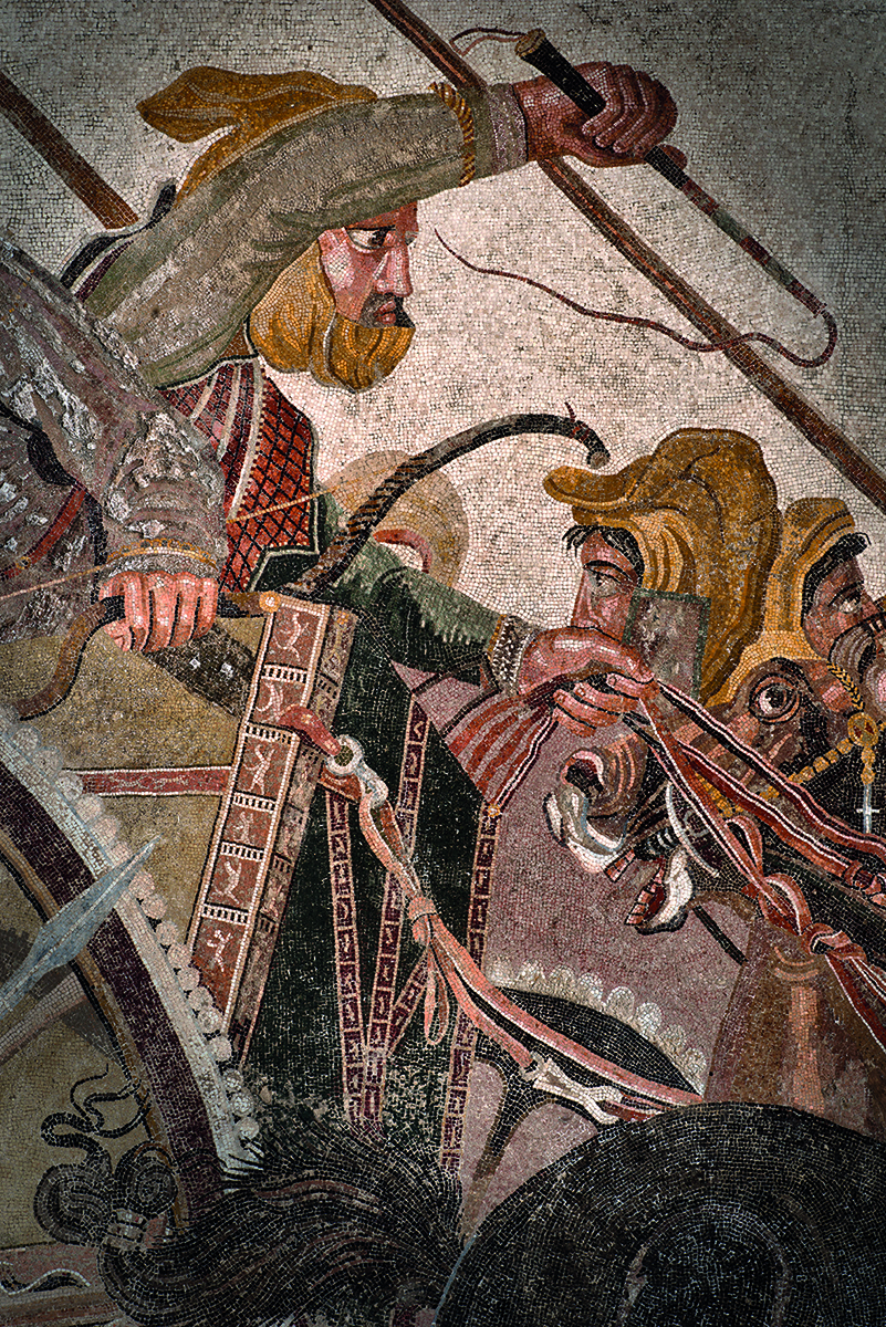 Book cover of The Alexander Mosaic, featuring the mosaic floor of Alexander The Great on horseback. Published by 5 Continents Editions.