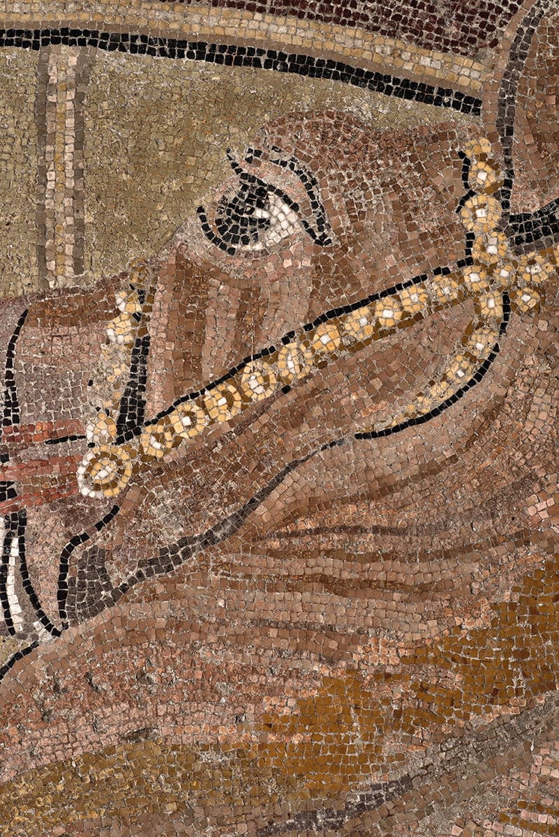 Floor mosaic of Alexander The Great on horseback, The Alexander Mosaic in cream font below.