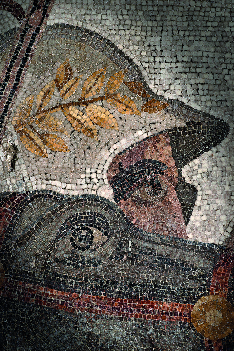 Book cover of The Alexander Mosaic, featuring the mosaic floor of Alexander The Great on horseback. Published by 5 Continents Editions.