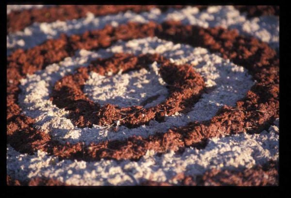 Book cover of Wamulu. Published by 5 Continents Editions.