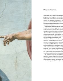 Michelangelo: The Genesis of the Sistine