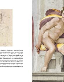 Michelangelo: The Genesis of the Sistine