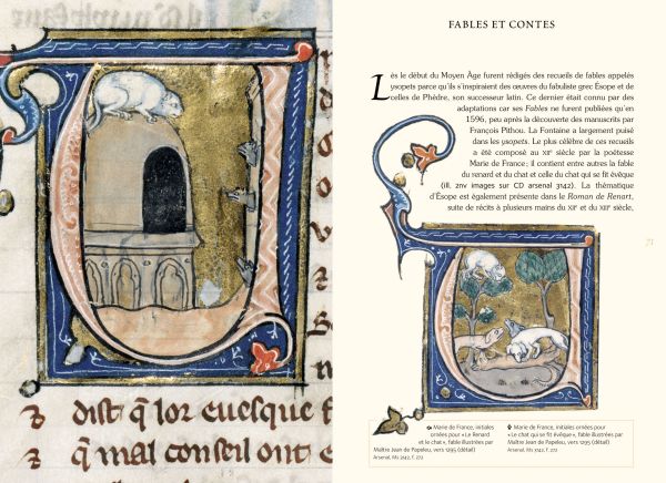 Book cover of The Well-Read Cat; featuring an illustration of a cat looking up. Published by Officina Libraria.