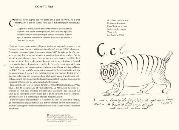 Book cover of The Well-Read Cat; featuring an illustration of a cat looking up. Published by Officina Libraria.