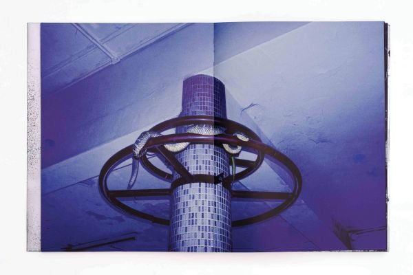 Book cover of Arko Datto's What News of the Snake That Lost its Heart in the Fire: Snakefire, with a large outline of butterfly. Published by L'Artiere.