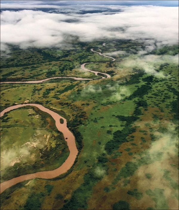 Book cover of Virunga: 100 Years of an Exceptional Park: featuring a mountain gorilla. Published by Lannoo Publishers.