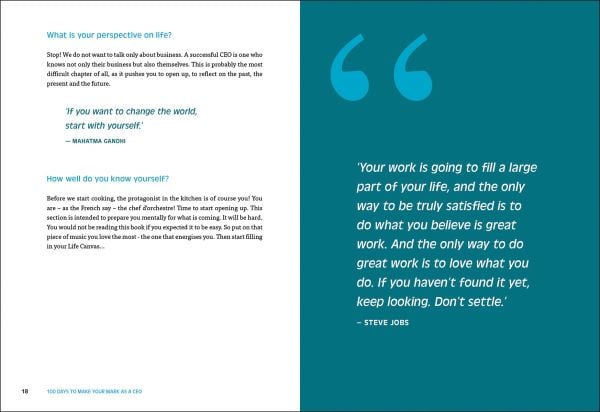 Book cover of 100 Days to Make Your Mark as a CEO: Essentials for First-Time and Seasoned Business-Leaders. Published by Lannoo Publishers.