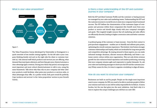 Book cover of 100 Days to Make Your Mark as a CEO: Essentials for First-Time and Seasoned Business-Leaders. Published by Lannoo Publishers.