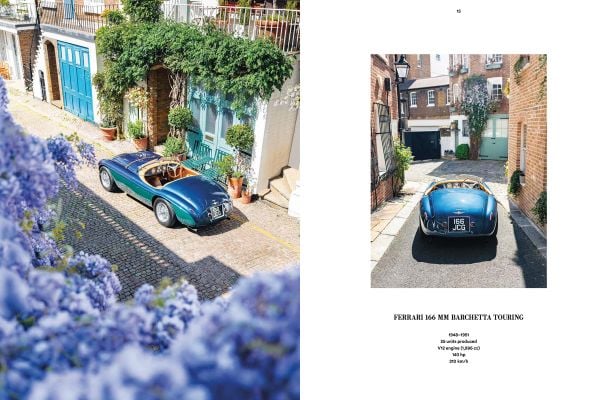 Book cover of Iconic Classic Cars; featuring a silver Mercedes-Benz 300 SL Gullwing. Published by Lannoo Publishers.