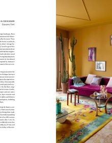 Book cover of All You Need is Colour: At Home; featuring a living room with floral rug, large mirror and tropical plant. Published by Lannoo Publishers.
