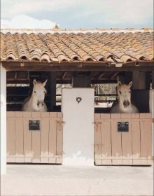 Book cover of The World’s Best Nature & Design Hotels; featuring a modern desert hotel with outdoor loungers. Published by Lannoo Publishers.