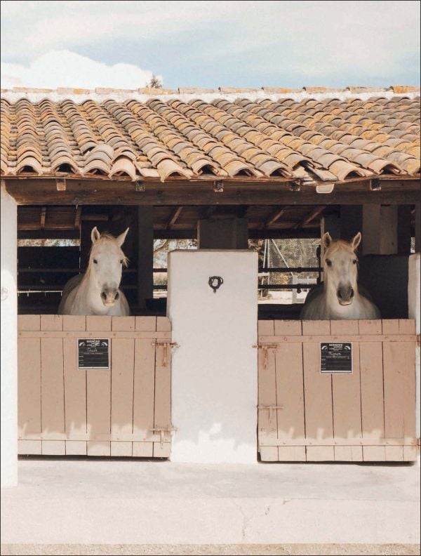Book cover of The World’s Best Nature & Design Hotels; featuring a modern desert hotel with outdoor loungers. Published by Lannoo Publishers.
