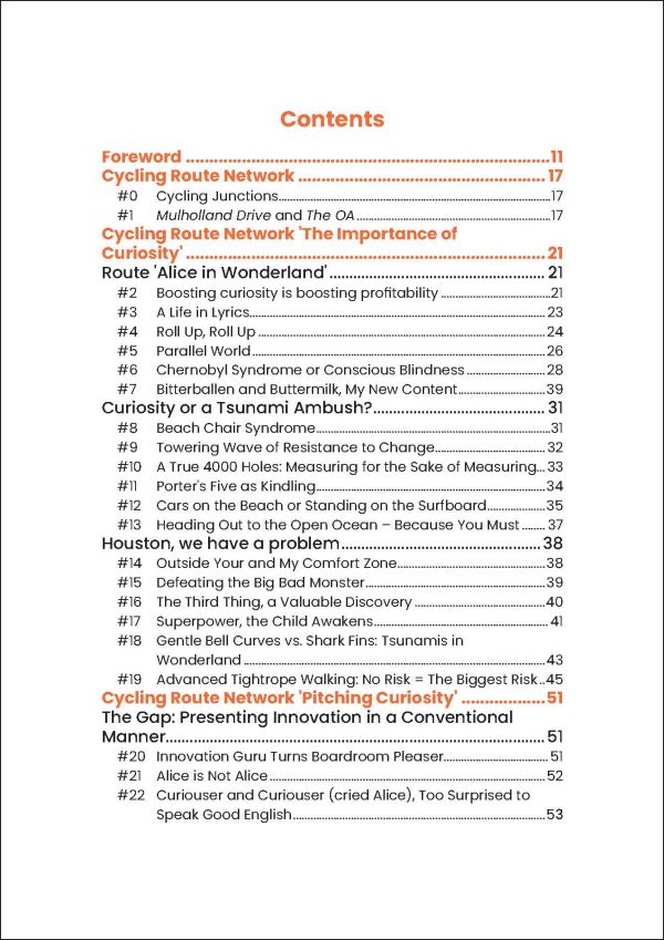Book cover of Net Curiosity Score: Boost Your Innovation with this new KPI, with a black cat. Published by Lannoo Publishers.