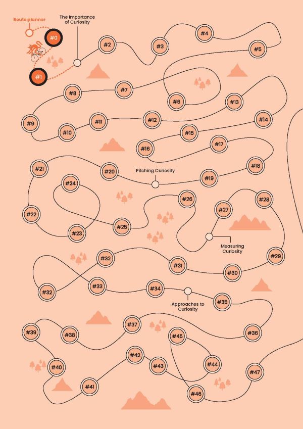 Book cover of Net Curiosity Score: Boost Your Innovation with this new KPI, with a black cat. Published by Lannoo Publishers.