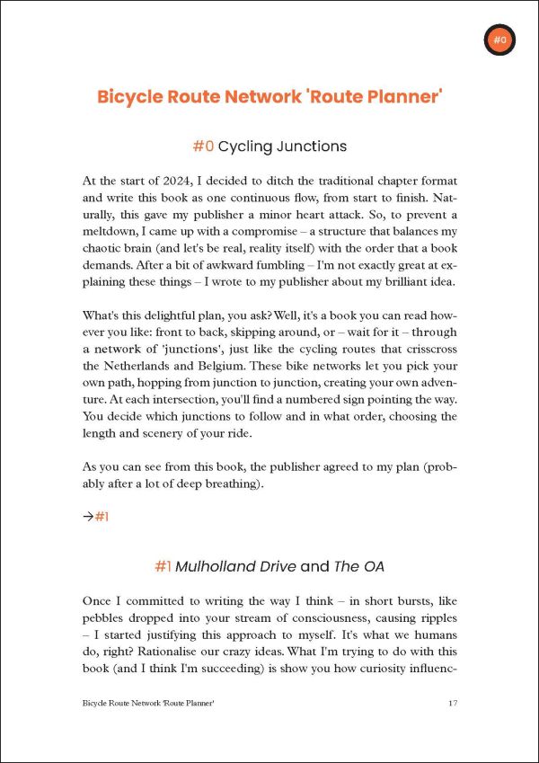 Book cover of Net Curiosity Score: Boost Your Innovation with this new KPI, with a black cat. Published by Lannoo Publishers.