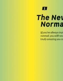 Book cover of The Uncertainty Principle: Riding the Waves of the Never Normal. Published by Lannoo Publishers.