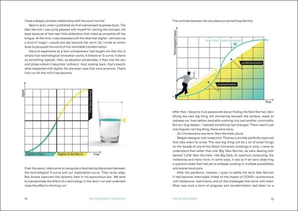 Book cover of The Uncertainty Principle: Riding the Waves of the Never Normal. Published by Lannoo Publishers.