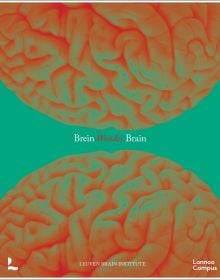 Wonder Brain