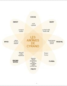 Book cover of Belgian Chocolate & Beer: 50 Amazing Combinations; featuring a fancy chocolate dessert, and a glass of beer. Published by Lannoo Publishers.