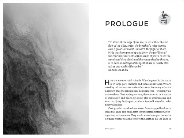 Book cover of The Unknown Sea: The importance of the ocean for people and planet. Published by Lannoo Publishers.