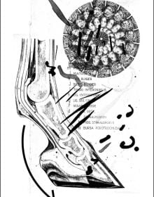 Book cover of Museum of Doubt: A modest manifesto by a science curator. Published by Lannoo Publishers.