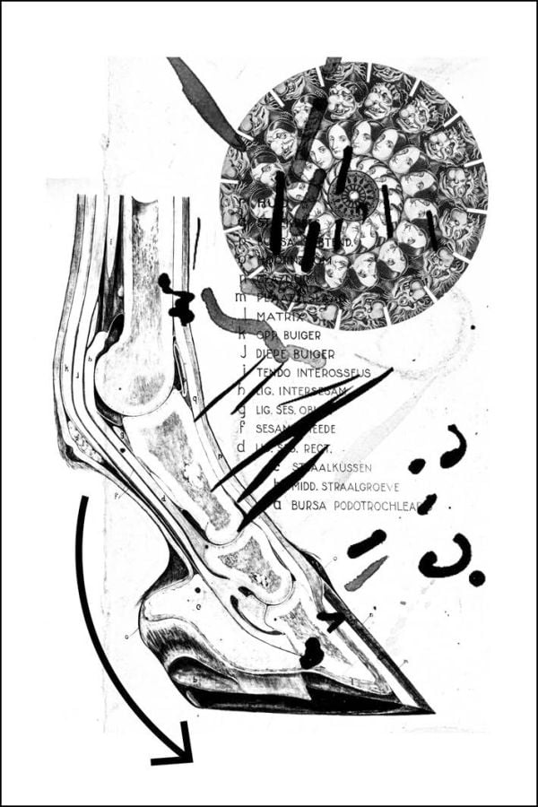 Book cover of Museum of Doubt: A modest manifesto by a science curator. Published by Lannoo Publishers.