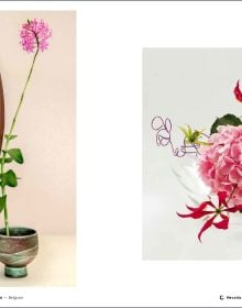 Book cover of Ikebana Inspired by Emotions, featuring a box with a green leaf inside, with an abstract sculpture of red sticks. Published by Stichting.