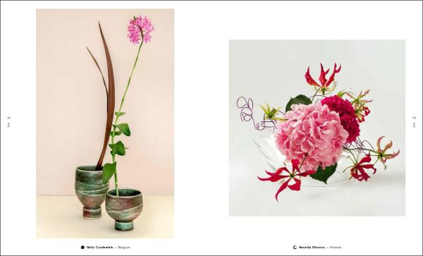 Book cover of Ikebana Inspired by Emotions, featuring a box with a green leaf inside, with an abstract sculpture of red sticks. Published by Stichting.